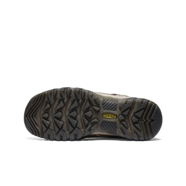 Women's Targhee IV Waterproof Hiking Shoe | Brindle/Nostalgia Rose