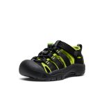 Little Kids' Newport H2  |  Black/Lime Green