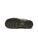 Women's Targhee IV Waterproof Hiking Boot  |  Bison/Beaujolais