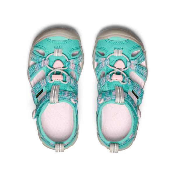Little Kids' Seacamp II CNX | Bright Aqua/Giggle Pink