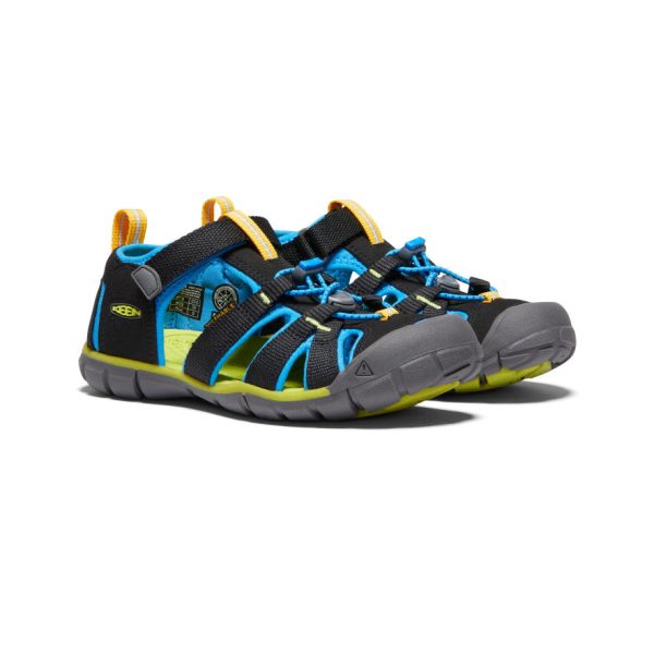 Big Kids' Seacamp II CNX | Black/Brilliant Blue