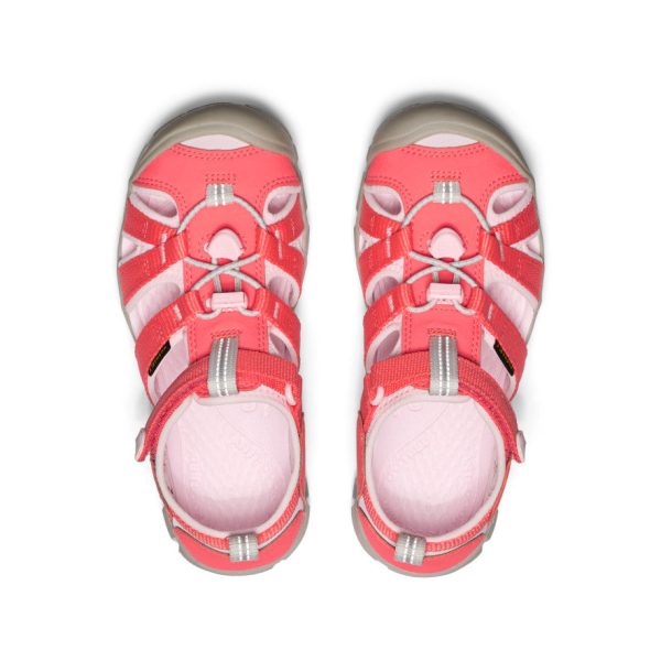 Big Kids' Seacamp II CNX  |  Dubarry/Giggle Pink