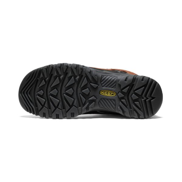 Men's Targhee IV Waterproof Hiking Boot | Bison/Black