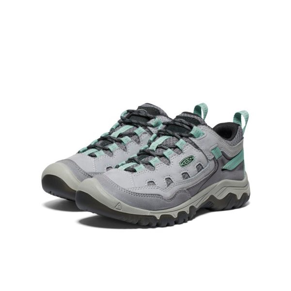 Women's Targhee IV Vented Hiking Shoe | Alloy/Granite Green