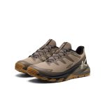 Men's Targhee Apex Waterproof Hiking Shoe | Brindle/Canteen