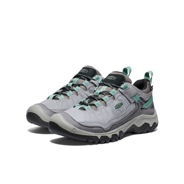 Women's Targhee IV Wide Waterproof Hiking Shoe | Alloy/Granite Green