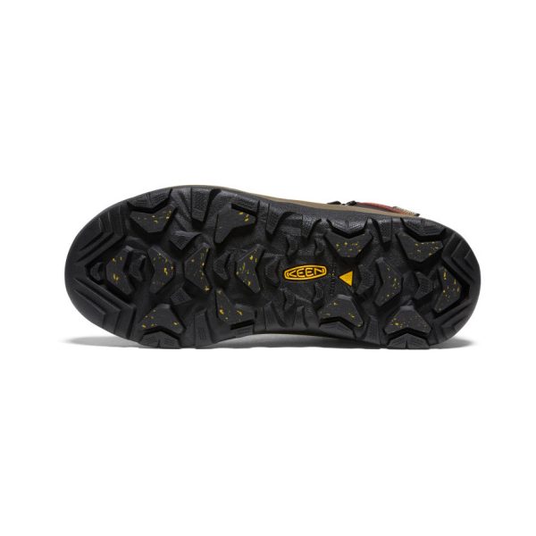 Women's Revel IV Polar Waterproof Boot | Andorra/Safari