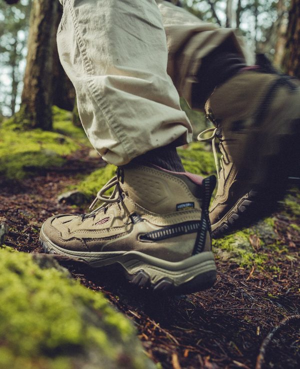 Women's Targhee IV Waterproof Hiking Boot  |  Bison/Beaujolais