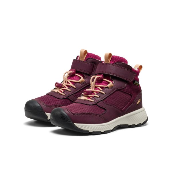 Little Kids' Skua Waterproof Boot  |  Fig/Peach Fuzz
