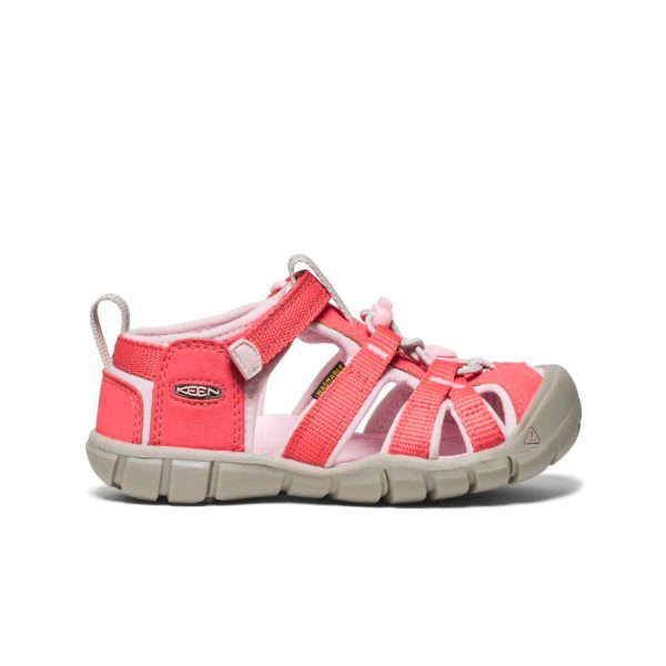 Little Kids' Seacamp II CNX | Dubarry/Giggle Pink