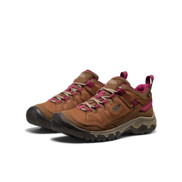 Women's Targhee IV Waterproof Hiking Shoe | Bison/Beaujolais